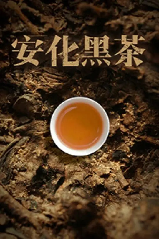 安化黑茶
