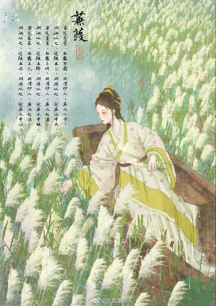 蒹葭
