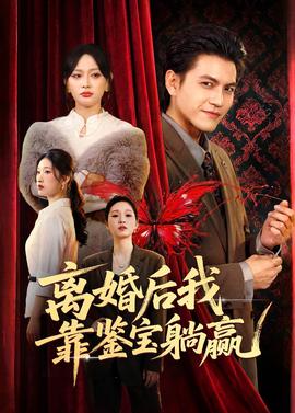 离婚后我靠鉴宝躺赢