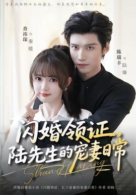 闪婚领证，陆先生的宠妻日常